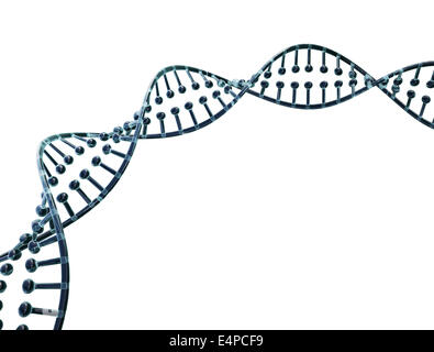 Vetro stringa di DNA isolato su sfondo bianco Foto Stock