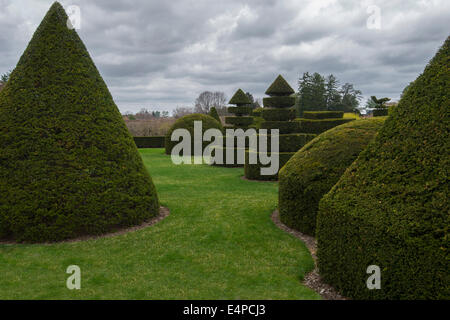 Topiaria da giardino a Longwood Gardens. Kennett Square, Pennsylvania, STATI UNITI D'AMERICA Foto Stock