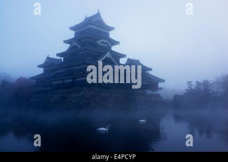 Il Castello Matsumoto e cigni nella nebbia mattutina Foto Stock