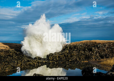 Fontana a partire da un foro di sfiato, riprese di navigare attraverso le rocce dal seguito, Anarstapi, penisola Snaefellsness, Islanda Foto Stock