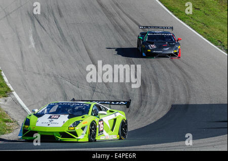 Toronto, può., 12 lug 2014 - La Mobil 1 SportsCar Grand Prix è in corso al Canadian Tire Motorsport Park in Bowmanville, a est di Toronto. Foto Stock