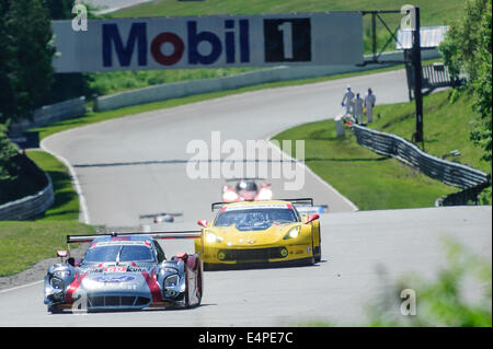 Toronto, può., 12 lug 2014 - La Mobil 1 SportsCar Grand Prix è in corso al Canadian Tire Motorsport Park in Bowmanville, a est di Toronto. Foto Stock