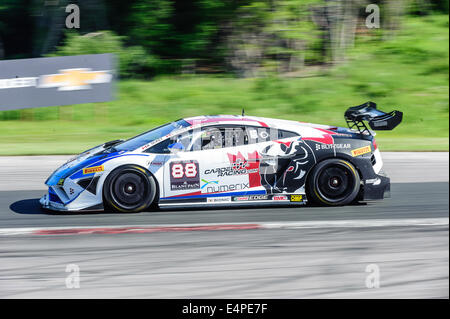 Toronto, può., 12 lug 2014 - La Mobil 1 SportsCar Grand Prix è in corso al Canadian Tire Motorsport Park in Bowmanville, a est di Toronto. Foto Stock