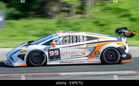 Toronto, può., 12 lug 2014 - La Mobil 1 SportsCar Grand Prix è in corso al Canadian Tire Motorsport Park in Bowmanville, a est di Toronto. Foto Stock