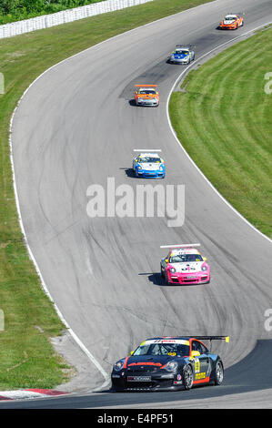 Toronto, può., 12 lug 2014 - La Mobil 1 SportsCar Grand Prix è in corso al Canadian Tire Motorsport Park in Bowmanville, a est di Toronto. Foto Stock