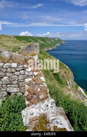 Il litorale di Lundy Island dal castello e dalla baia di atterraggio cercando lungo il lato est Foto Stock