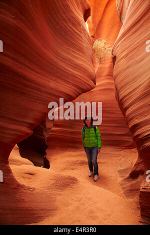 Tourist, eroso formazioni di arenaria e tumbleweed catturati in alto nel Rattlesnake Canyon, vicino a pagina, Navajo Nation, Arizona, Stati Uniti d'America Foto Stock