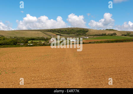 Il Hamstead sentiero attraversa l'Isola di Wight da Hamstead sulla N costa a Brook sul S. Questa è vista a N dal vicino torrente. Foto Stock