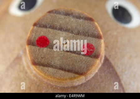 Extreme foto macro di piccole casette di legno naso di maiale, Paesi Bassi Foto Stock