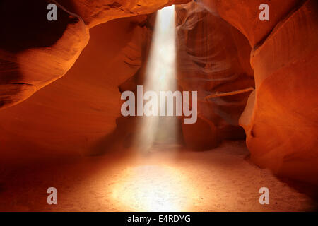 Albero della luce nella parte superiore Antelope Canyon, vicino a pagina, Navajo Nation, Arizona, Stati Uniti d'America Foto Stock