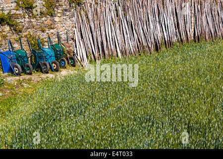 Staccionata in legno dei pali in campo nel santo monte Athos in Grecia Foto Stock