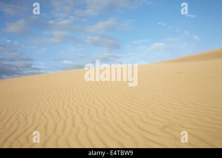 Fluttuazioni nella duna di sabbia, Dune du Pilat, Arcachon Francia Foto Stock