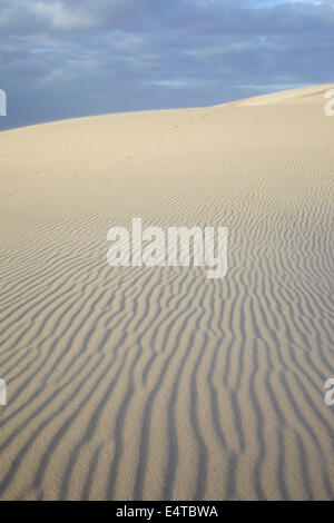 Fluttuazioni nella duna di sabbia, Dune du Pilat, Arcachon Francia Foto Stock