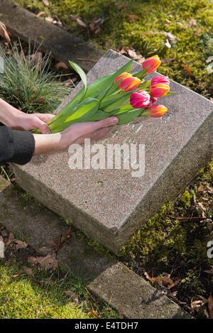 Adolescente ponendo i tulipani su pietre tomba nel cimitero Foto Stock
