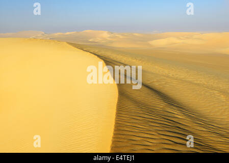 Vista panoramica delle dune di sabbia, Matruh, grande mare di sabbia, deserto libico, il Deserto del Sahara, Egitto, Africa Settentrionale, Africa Foto Stock