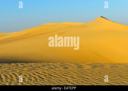 Vista panoramica delle dune di sabbia, Matruh, grande mare di sabbia, deserto libico, il Deserto del Sahara, Egitto, Africa Settentrionale, Africa Foto Stock