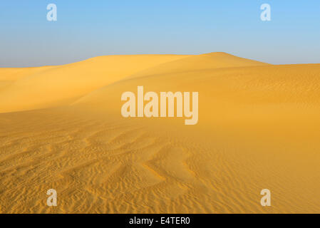 Panoramica delle dune di sabbia, Matruh, grande mare di sabbia, deserto libico, il Deserto del Sahara, Egitto, Africa Settentrionale, Africa Foto Stock