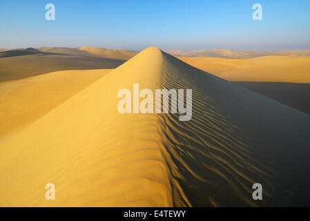 Vista panoramica delle dune di sabbia, Matruh, grande mare di sabbia, deserto libico, il Deserto del Sahara, Egitto, Africa Settentrionale, Africa Foto Stock