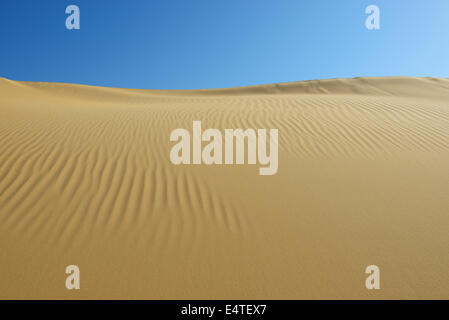 Panoramica delle dune di sabbia, Matruh, grande mare di sabbia, deserto libico, il Deserto del Sahara, Egitto, Africa Settentrionale, Africa Foto Stock