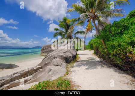 Sentiero attraverso le rocce e alberi di palma, Anse Source d'Argent, La Digue, Seicelle Foto Stock
