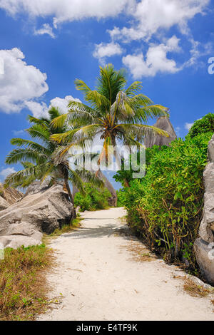 Sentiero attraverso le rocce e alberi di palma, Anse Source d'Argent, La Digue, Seicelle Foto Stock