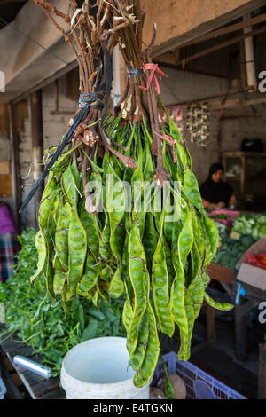 Jimbaran, Bali, Indonesia. Petai o Pete, fagioli, noto anche come amaro, fagioli fagioli puzzolenti o ritorti Cluster fagioli. Foto Stock