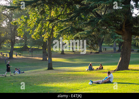 Australia,Victoria,West Melbourne,Flagstaff Gardens,parco pubblico,prato,erba,alberi,residenti,relax,AU140319180 Foto Stock