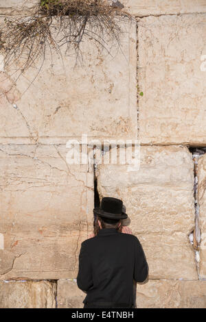 Uomo ebreo prega accanto ad una spaccatura riempita con le lettere contenenti preghiere scritta presso il Muro Occidentale di Gerusalemme. Israele Foto Stock