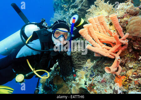 Scuba diver Foto Stock