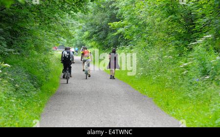 Ciclista sulla monsal trail derbyshire parco nazionale di Peak District Inghilterra Regno Unito Foto Stock