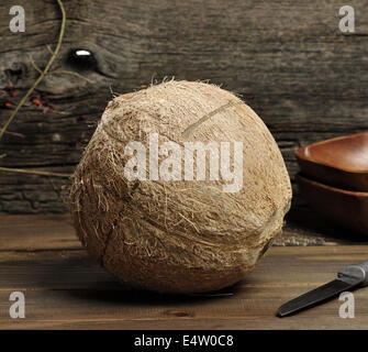 Noce di cocco Foto Stock