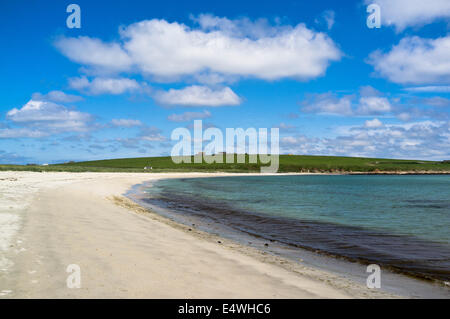 dh Ayre di Cara BURRAY ORKNEY Scozia Orkney spiaggia nessuno mare blu cielo nuvole tranquilla costa britannica sabbia sole estivo isole mare sole Foto Stock