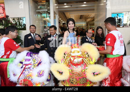 Hong Kong, Cina. Il 15 luglio 2014. Cantante e attrice Kelly Chen assiste ad una attività commerciale di Hong Kong, Cina martedì 15 luglio, 2014. © TopPhoto/Alamy Live News Foto Stock