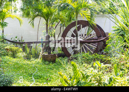 Fiori di irrigazione nel giardino e il carrello della Thailandia Foto Stock