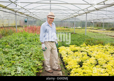 Uomo in piedi in serra Foto Stock