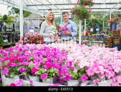 Matura la scelta di piante nel centro giardino Foto Stock