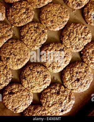 Appena sfornato in casa i biscotti al cioccolato, Inghilterra Foto Stock