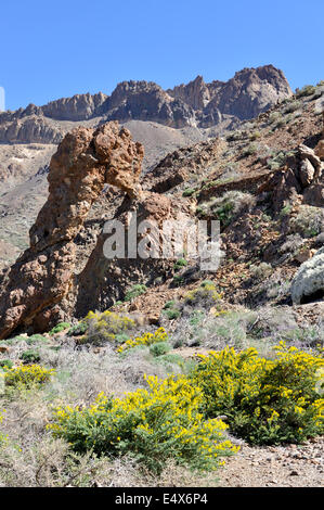 Il monte Teide Parco nazionale di formazione di roccia sapere come Zapatilla de la Reina con bordo calderico in distanza, Tenerife Foto Stock