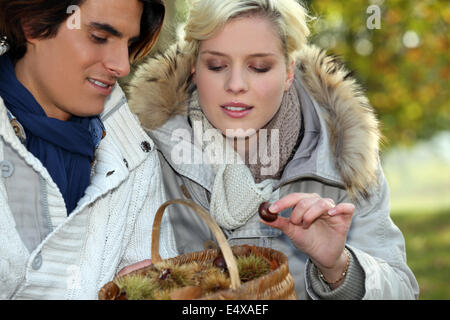 Accoppiare la raccolta delle castagne Foto Stock