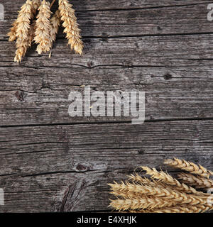 Mazzetti di grano dorati su legno Foto Stock