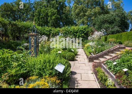 Piante medicinali in Queen's Garden, Kew Palace e Kew Royal Botanic Gardens, London, Regno Unito Foto Stock