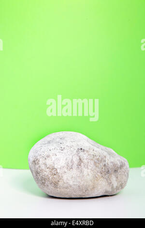 Unico waterworn liscia di roccia bianca Foto Stock