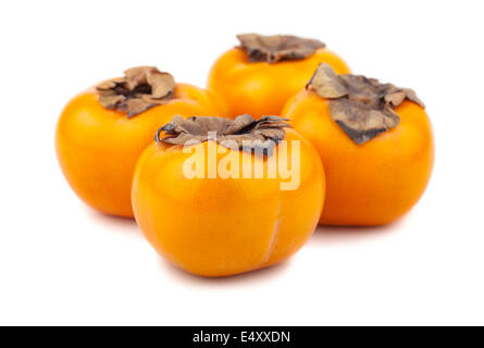 Quattro frutti persimmon Foto Stock