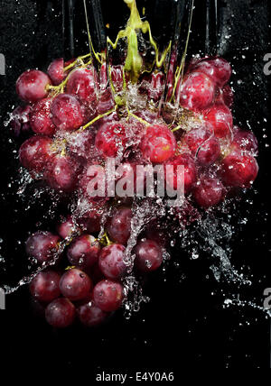 Grappolo di uva in spruzzi di acqua Foto Stock