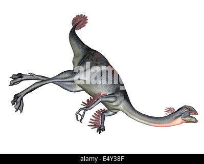 Dinosauro Gigantoraptor Foto Stock