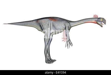 Dinosauro Gigantoraptor Foto Stock