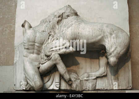 Metopa VIII da i marmi del Partenone raffigurante una parte della battaglia tra Centauri e la Lapiths. V secolo A.C. Atene Foto Stock