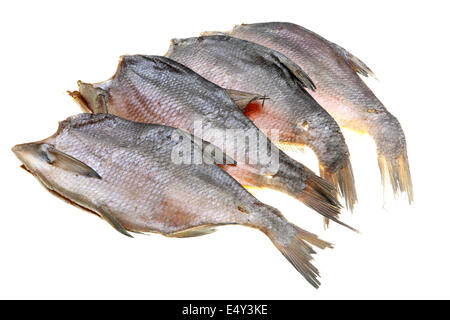 Pesci secchi isolati su sfondo bianco Foto Stock