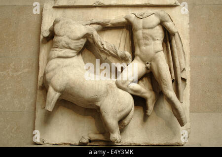 Metopa III da i marmi del Partenone raffigurante una parte della battaglia tra Centauri e la Lapiths. V secolo A.C. Atene. Foto Stock