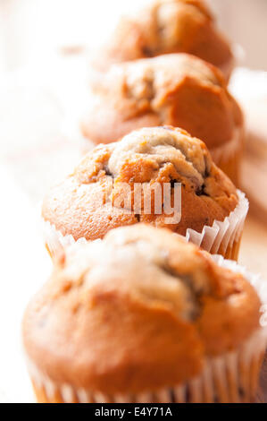 Pane appena sfornato in casa muffin ai mirtilli. Foto Stock